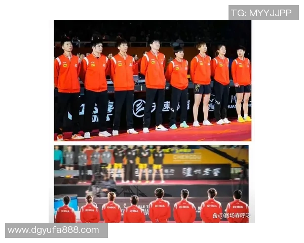 成都乒乓球队灵活性排名第六引发关注运动员表现备受赞誉